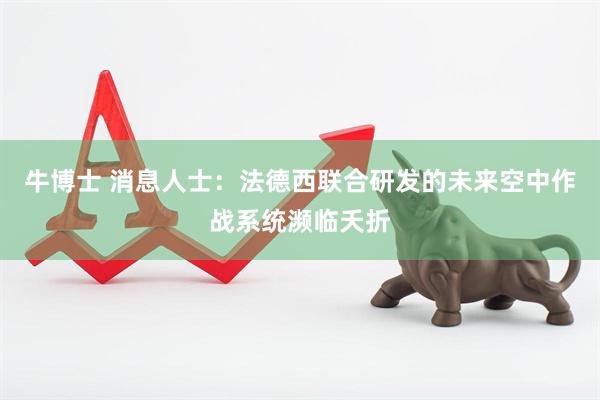 牛博士 消息人士：法德西联合研发的未来空中作战系统濒临夭折