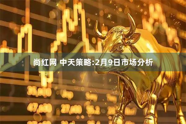 尚红网 中天策略:2月9日市场分析