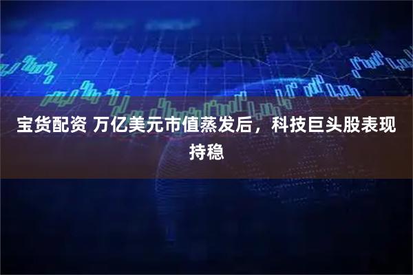 宝货配资 万亿美元市值蒸发后，科技巨头股表现持稳