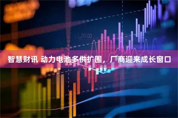 智慧财讯 动力电池多供扩围，厂商迎来成长窗口
