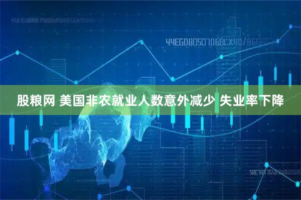 股粮网 美国非农就业人数意外减少 失业率下降